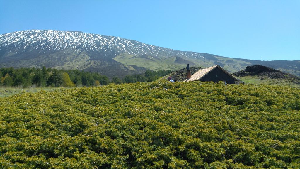 Etna Bike Holiday Цафферана-Етнеа Екстер'єр фото