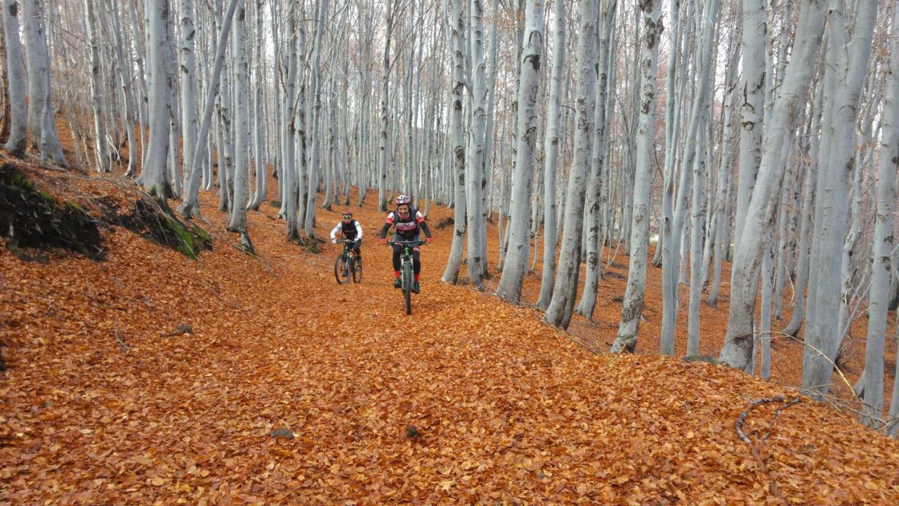 Etna Bike Holiday Цафферана-Етнеа Екстер'єр фото